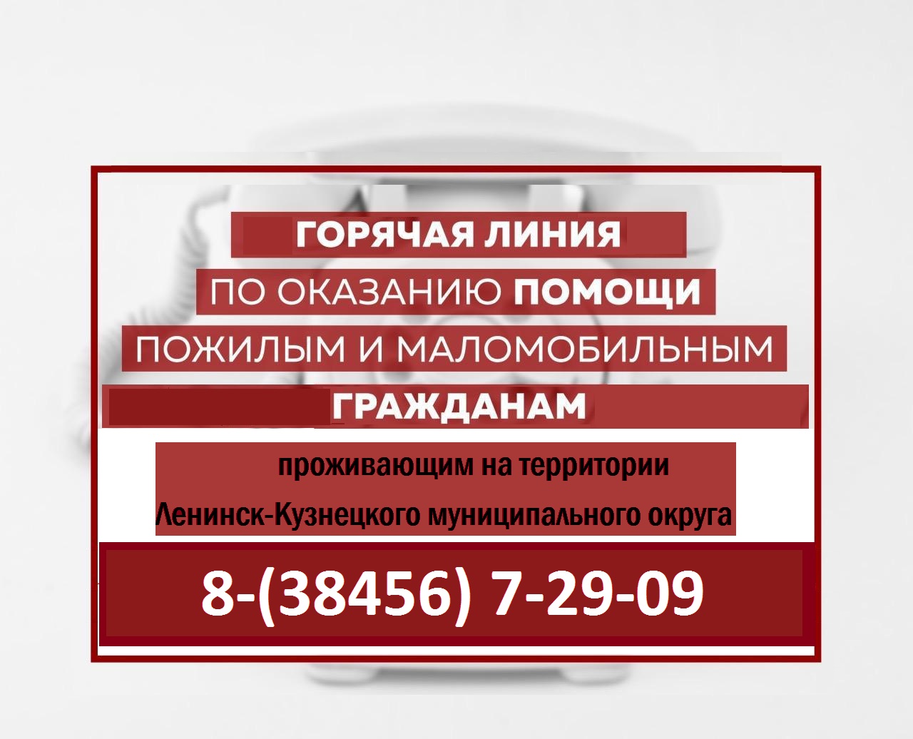 Центр социального обслуживания граждан пожилого возраста и инвалидов Ленинск -Кузнецкого муниципального округа» - Главная